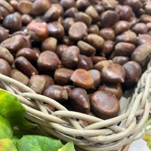 Castanha bio algarve